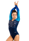 Ervy Freezy Long Sleeved Leotard (Ink, Caribbean Blue, Violet and Silver)