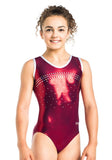 Ervy Anny Leotard (Bordeaux and Silver)