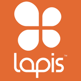 Lapis Wooden and Coloured Handguard (Grip) Brush